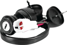 Load image into Gallery viewer, Photo - Primary