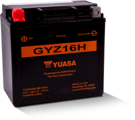 Yuasa GYZ16H High Performance Maintenance Free AGM 12-Volt Battery