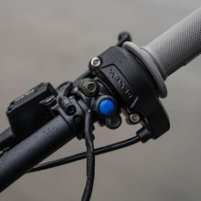 Load image into Gallery viewer, Photo - Primary