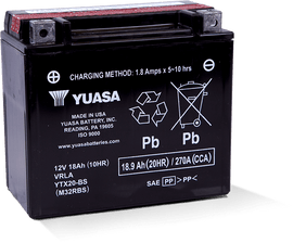 Yuasa YTX20-BS Maintenance Free AGM 12-Volt Battery w/Bottle