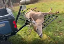 Load image into Gallery viewer, User 1